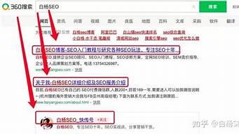 360搜索引擎seo_360搜索引擎seo收录被清0