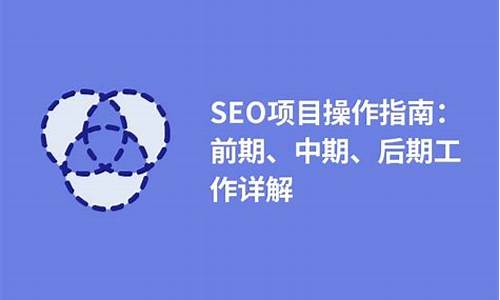 seo 项目_Seo项目分析