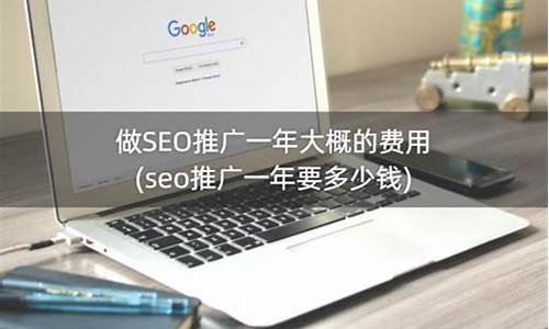 做seo推广一年大概的费用_做seo推广一年大概的费用是多少