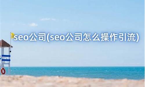 seo公司怎么操作引流赚钱_seo公司怎么操作引流赚钱的