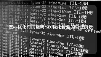 学seo优化有前途吗