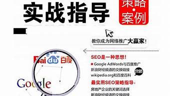 seo实战指导 知识_seo实战操作