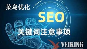 seo入门操作分享_seo入门操作分享怎么写