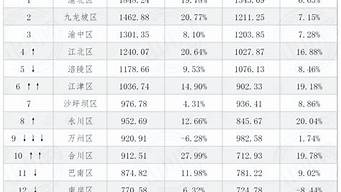 重庆快速排名_重庆快速排名公司