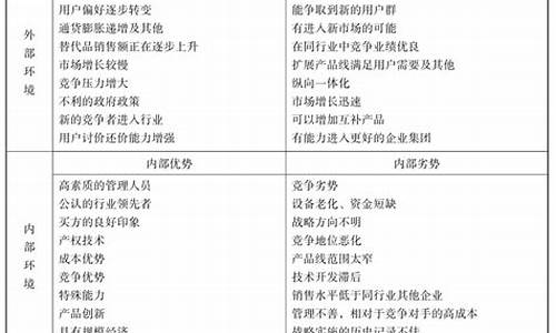 企业营销环境分析_企业营销环境分析时STOW分析