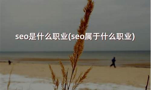 seo属于什么职业_seo属于什么职业类别的