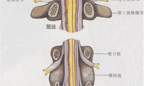 腰椎间盘突出压迫神经腿疼怎么治_腰椎间盘突出压迫神经腿疼怎么治疗