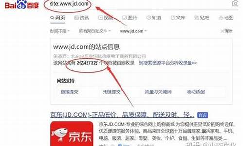 seo 收录量是什么意思_seo 收录量是什么意思啊