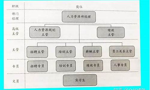 seo属于哪个部门类别_seo属于哪个部门类别的