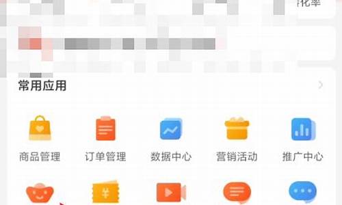 拼多多seo优化怎么做最好_拼多多seo 优化软件